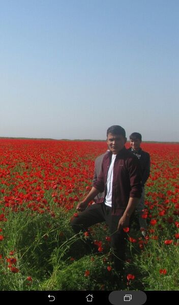  ,   Akbar, 28 ,   ,   , c 