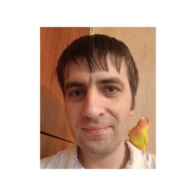  ,   , 37 ,   