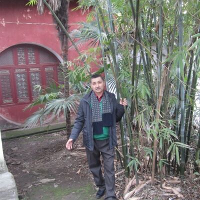  ,   , 67 ,   ,   