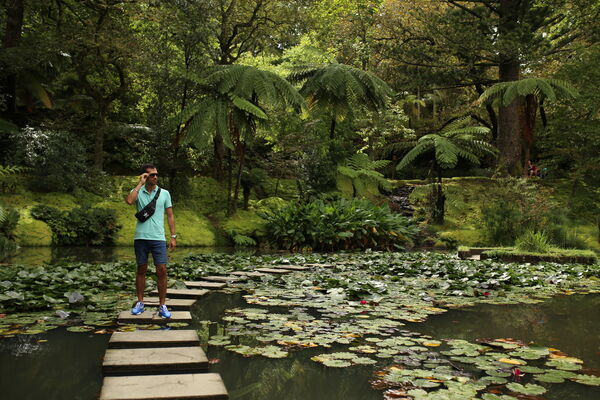  Tarragona,   Elvin, 38 ,   ,   , c , 