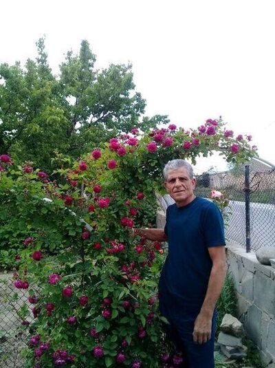  ,   , 60 ,   ,   