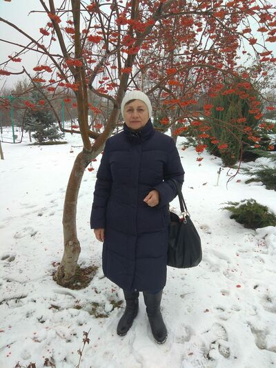  --,   , 65 ,   