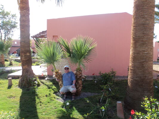  ,   , 60 ,   