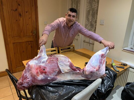  ,   Mihail, 43 ,   ,   , c , 