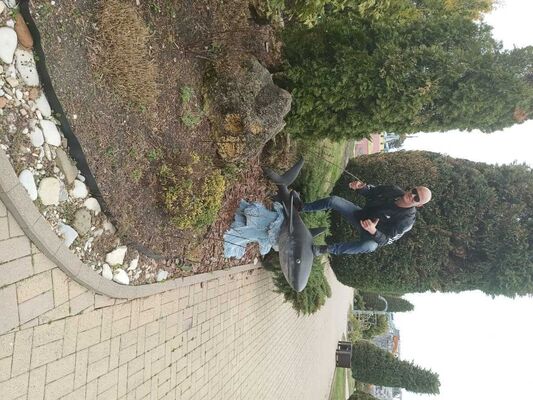  ,   Zahar, 40 ,   ,   
