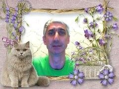  ,   , 62 ,   