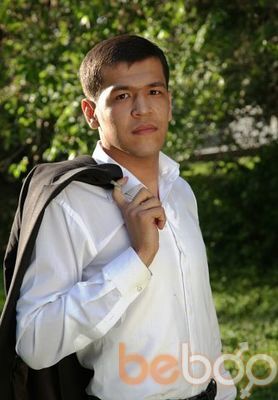 ���������� ���������, ���� ������� Zafar, 36 ���, ������������ ��� ������, ����� � ���������, c�������� ���������