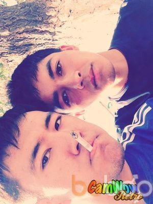  3180276  87784983432, 33 ,    