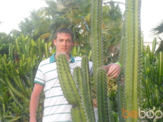 ,   Vitali81, 43 ,   ,   , c 