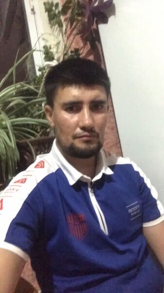  Levin,   , 36 ,   ,   