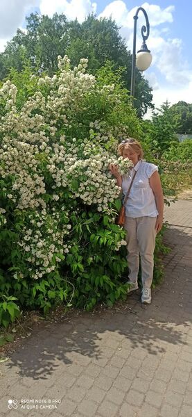  -,   Marina, 59 ,   ,   