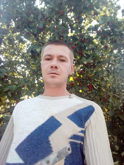  -,   , 41 ,   ,   