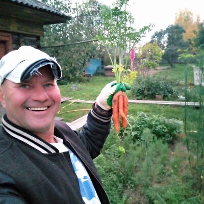  ,   , 52 ,   ,   