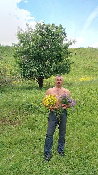  ,    , 49 ,   