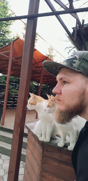  ,   , 33 ,   ,   , 