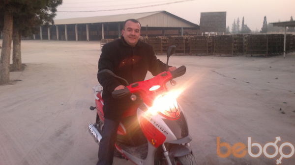  ,   Aslan, 33 ,   