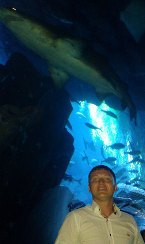  ,   Corneliu, 41 ,   ,   , c 