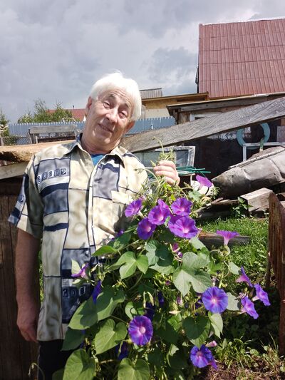  ,   , 67 ,   ,   