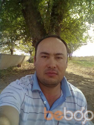  1825246  , 45 ,    