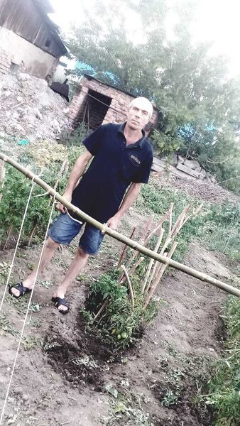  -,   , 51 ,   ,   , c , 