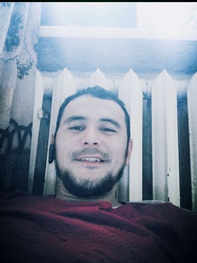  ,   DoSTiK, 31 ,   ,   , c , 