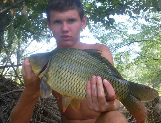  ,   Vlad, 30 ,   , 