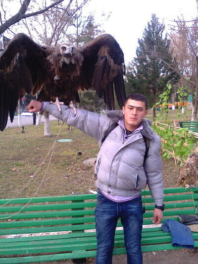  ,    , 31 ,   ,   , c , 