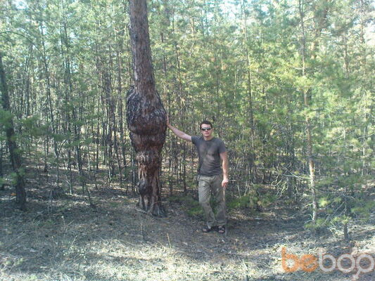  ,   Gladius, 41 ,  