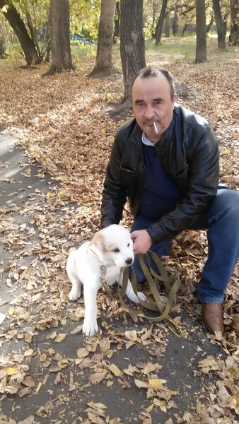  ,   , 56 ,   ,   