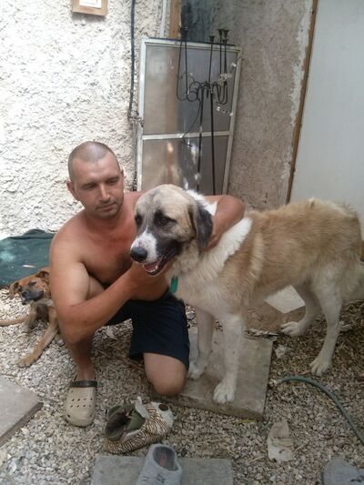  Holon,   Alex, 47 ,   