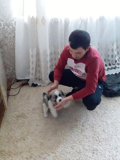  ,   Farruh, 32 ,   
