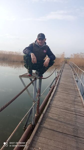  ,    , 41 ,  