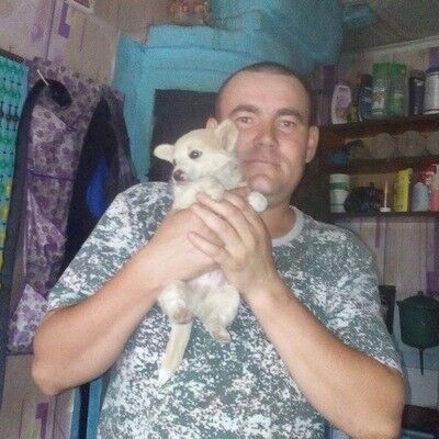  ,   , 40 ,   ,   , c , 