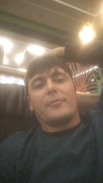  ,   Piligrim, 37 ,   ,   , c , 