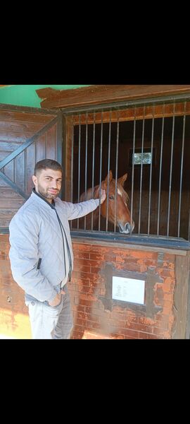  ,   Namiq, 37 ,     , c 