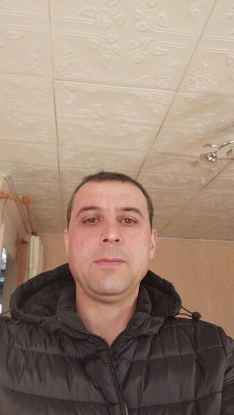  ,   , 43 ,   ,   