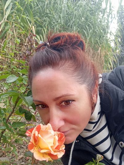  ,   , 41 ,   ,   