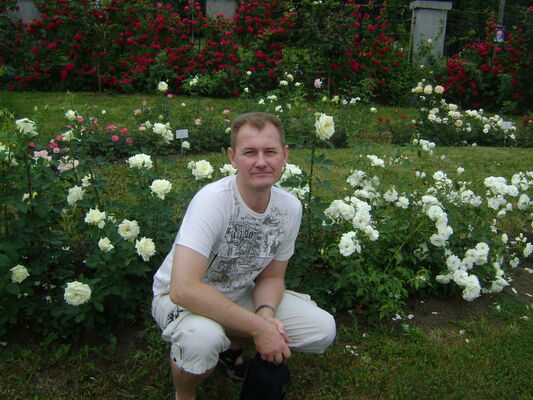  ,   , 54 ,     , c 