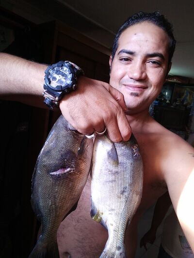  ,   Muxamed, 37 ,   ,   , c 