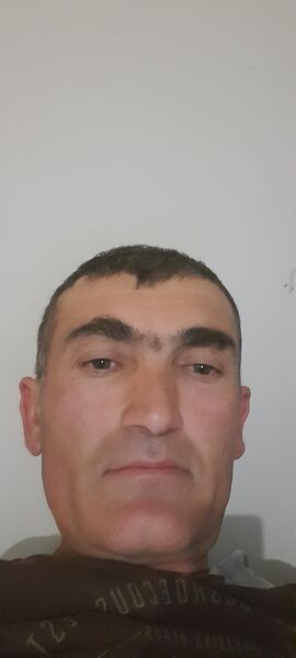  --,   , 43 ,   ,   
