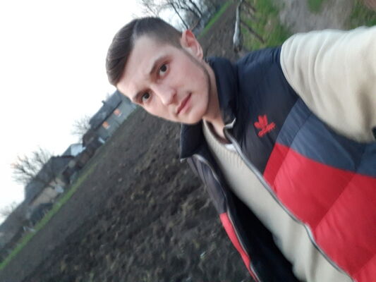  -,   Vitalik, 29 ,   ,   , c 