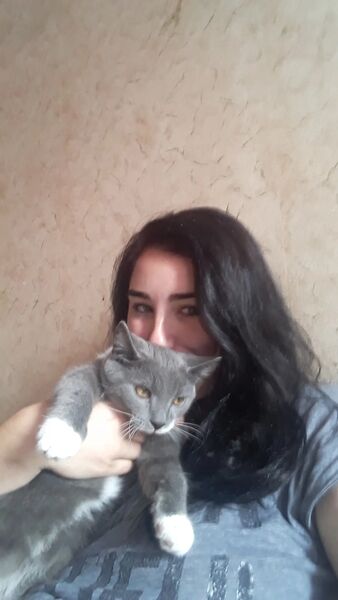  -,   , 31 ,   ,   