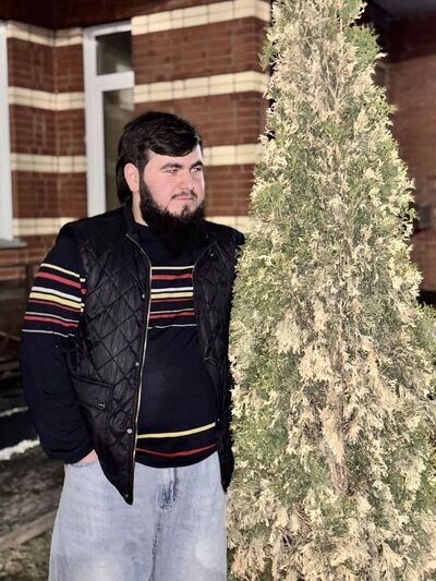 ,   Mehrob, 20 ,   ,   , c 