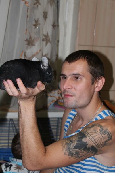  ,   Dmitriy, 34 ,   ,   , c 