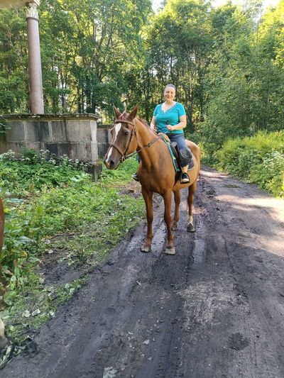  -,   , 59 ,   ,   , c 