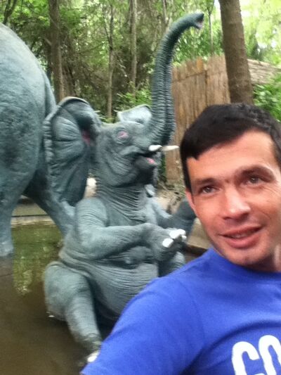  ,   DiLsHoD, 43 ,   ,   , c 