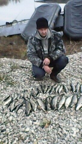  ,   Maksim, 41 ,   