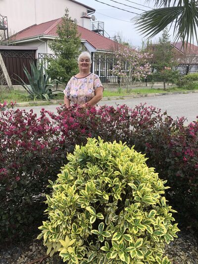  ,   , 57 ,   ,   