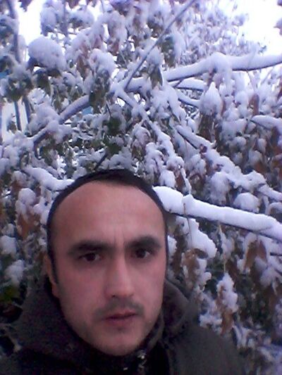 ,   Zamir, 44 ,   ,   , c 