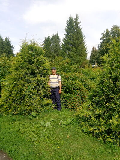  ,   , 41 ,   ,   